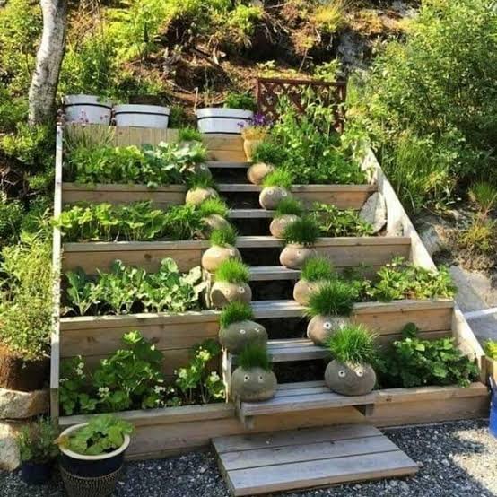 Vertical Gardening Ideas for Homes with Limited Space