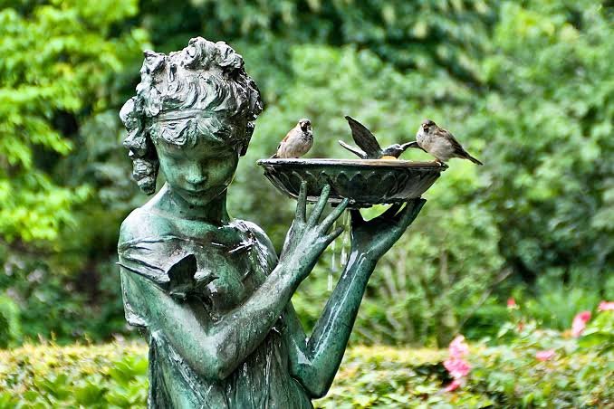How to Attract Birds and Pollinators to Your Garden
