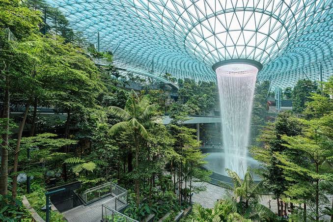 Biophilic Design Ideas: Bringing Nature Into Your Home