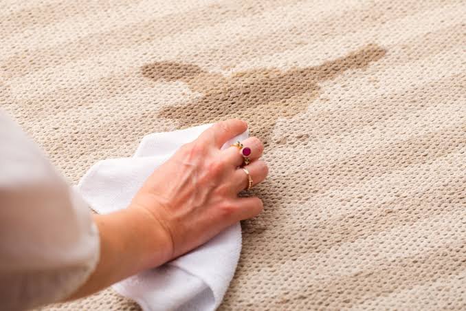 How to Remove Carpet Stains: 8 Methods That Actually Work
